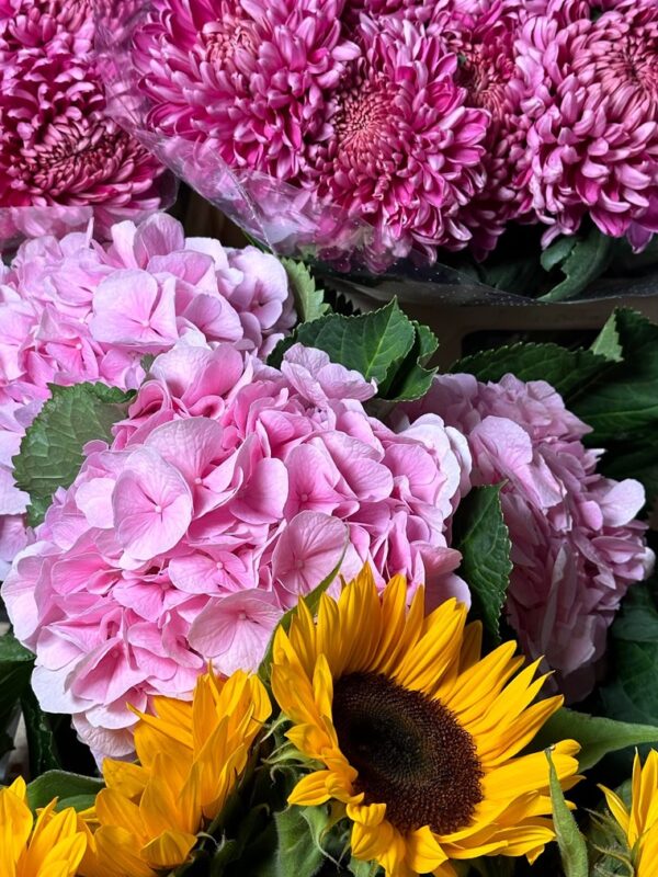 Hydrangeas + helianthus